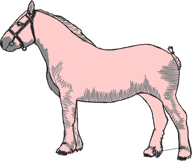 Horses 10 (20)