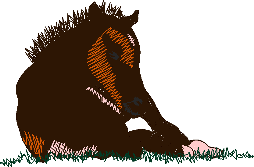 Horses 10 (22)
