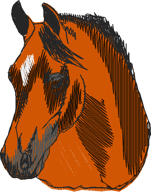Horses 10 (3)