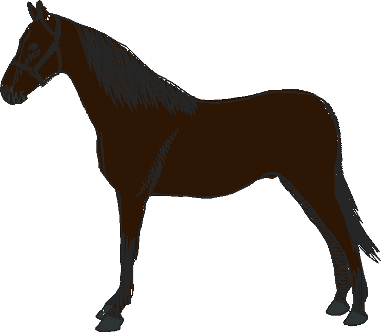 Horses 10 (5)