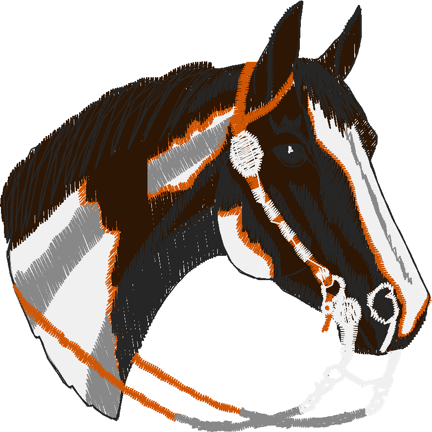 Horses 12 (11)