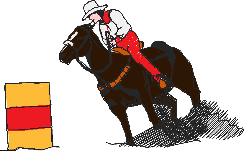Horses 12 (17)