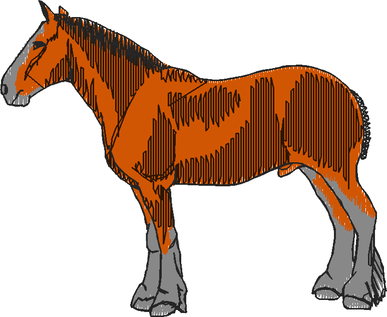 Horses 12 (6)