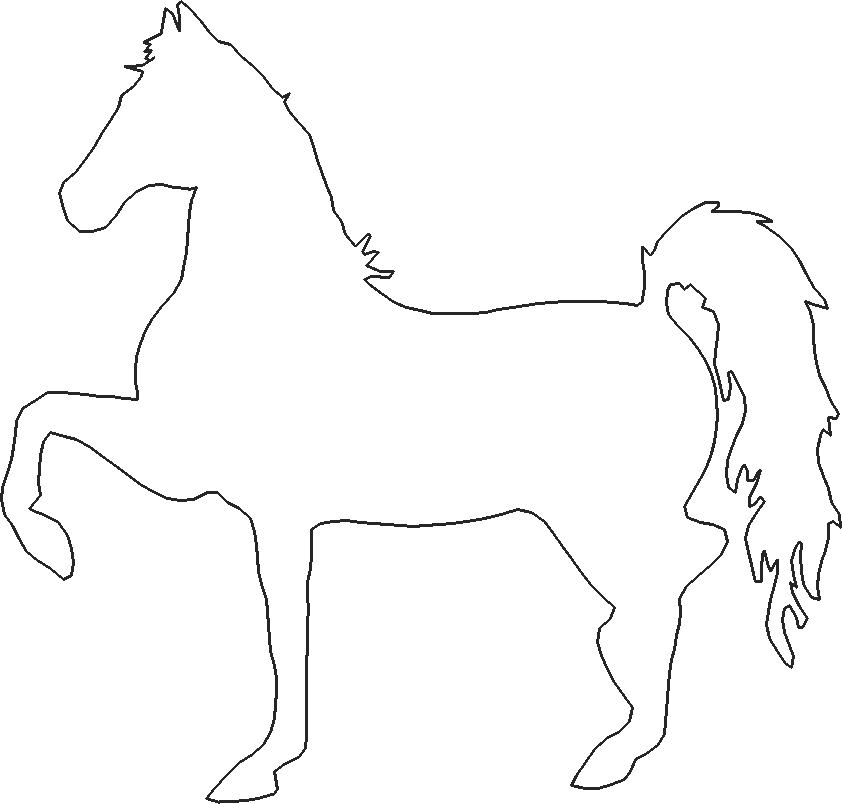 Horses 14  (1)