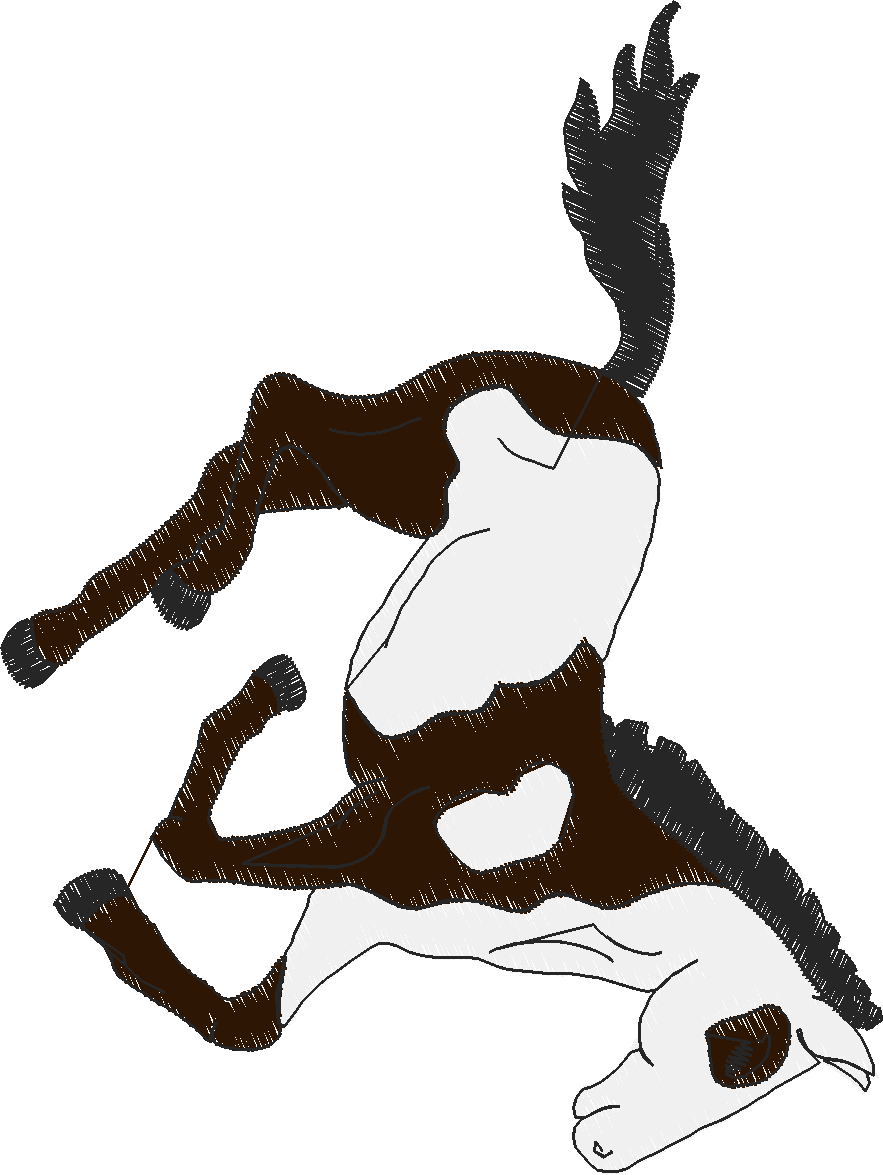 Horses 14  (41)
