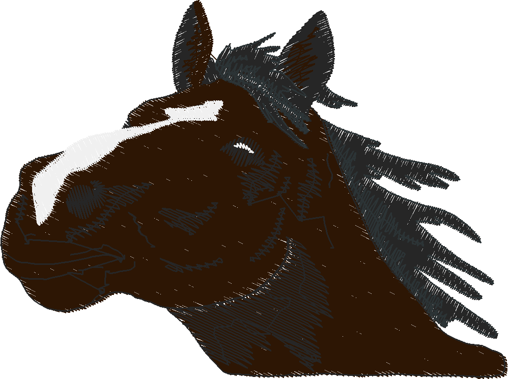 Horses 14  (55)
