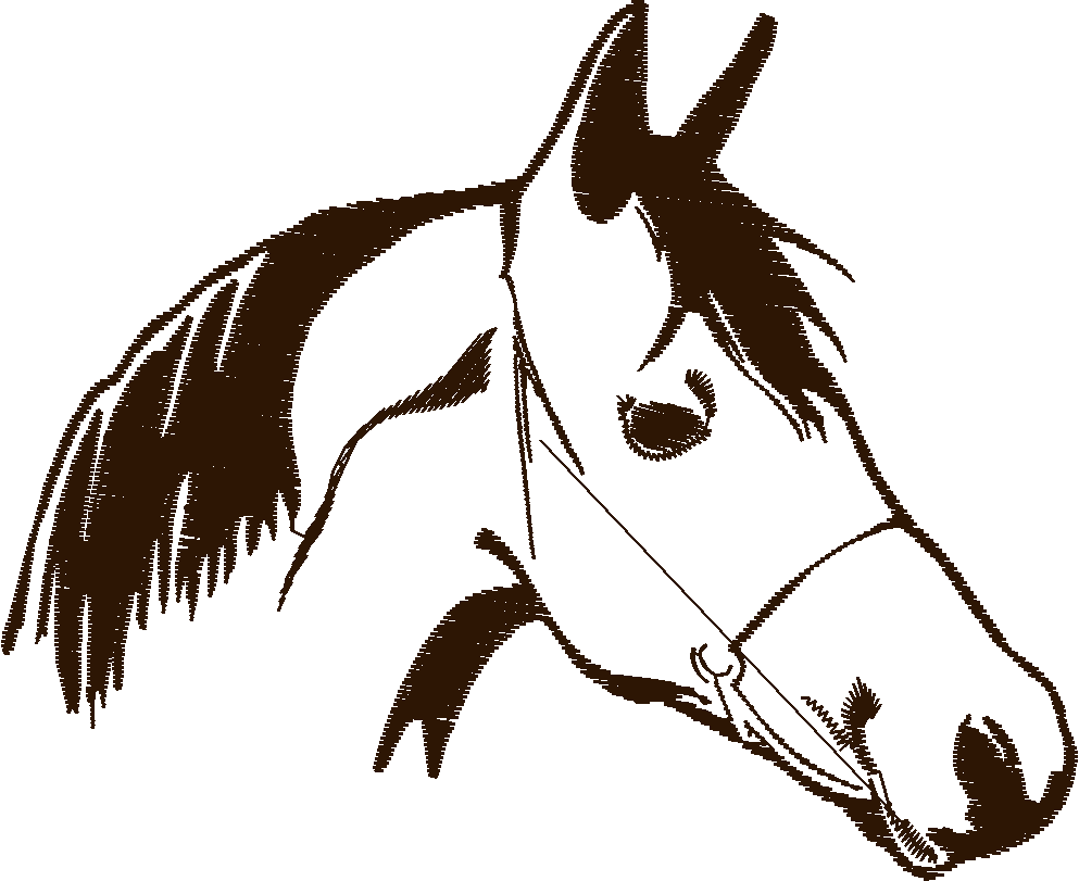 Horses 14  (71)