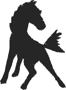 Horses 15  (10)