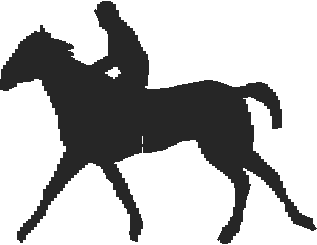 Horses 15  (14)