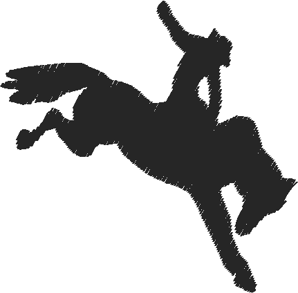 Horses 15  (25)