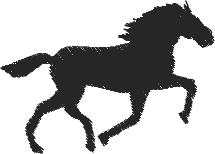 Horses 15  (29)