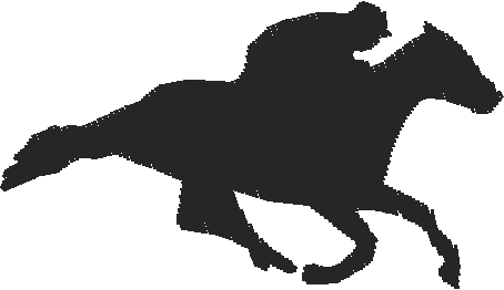 Horses 15  (3)