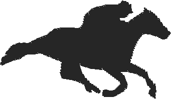 Horses 15  (4)