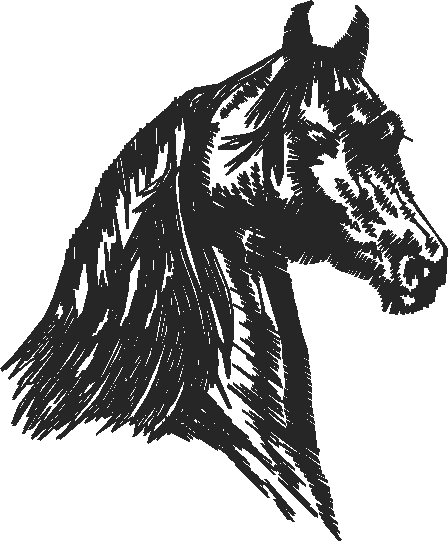 Horses 2  (1)