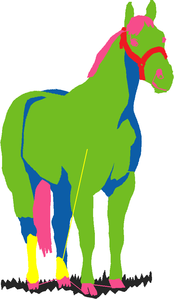 Horses 2  (25)