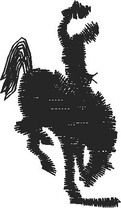 Horses 2  (53)
