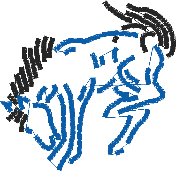 Horses 2  (81)
