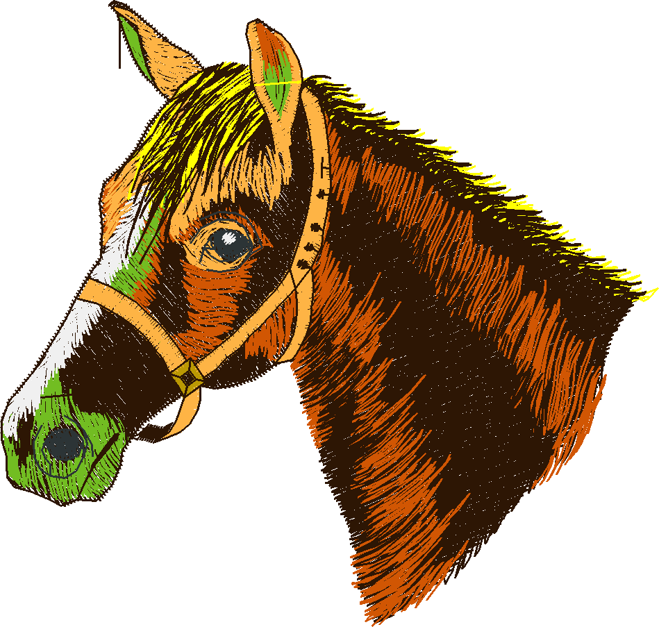 Horses 4  (11)