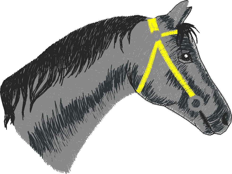 Horses 4  (7)