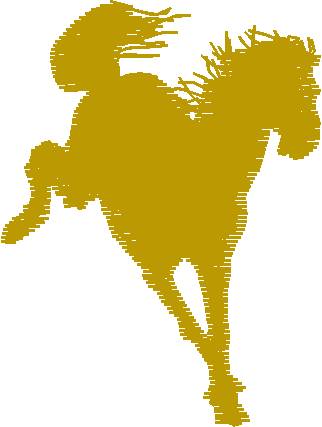 Horses 5  (10)