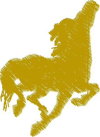 Horses 5  (17)