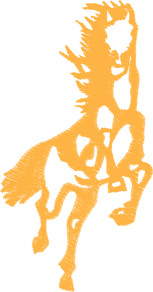 Horses 5  (21)