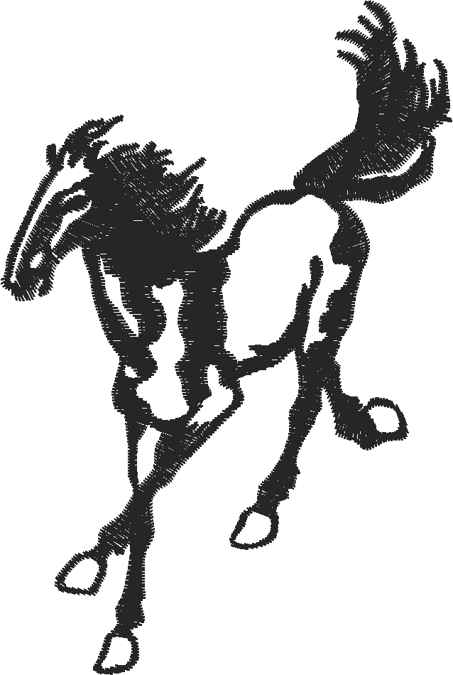 Horses 5  (28)