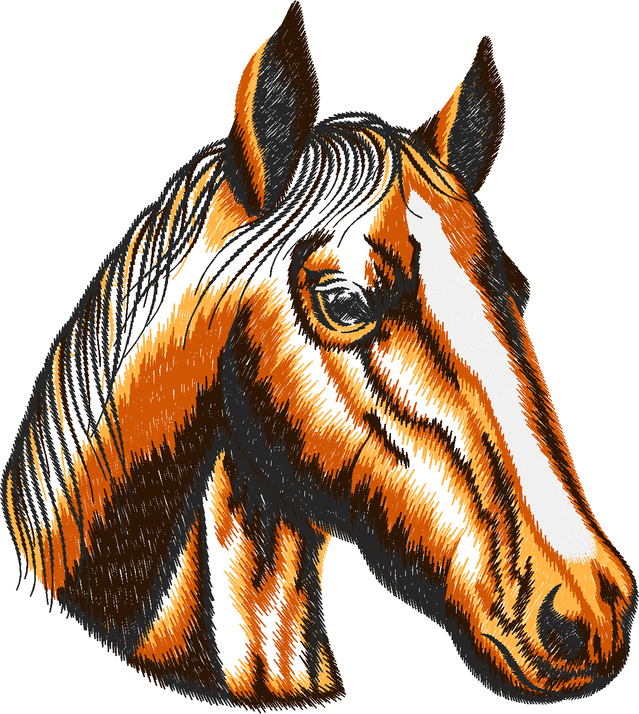 Horses 7  (21)