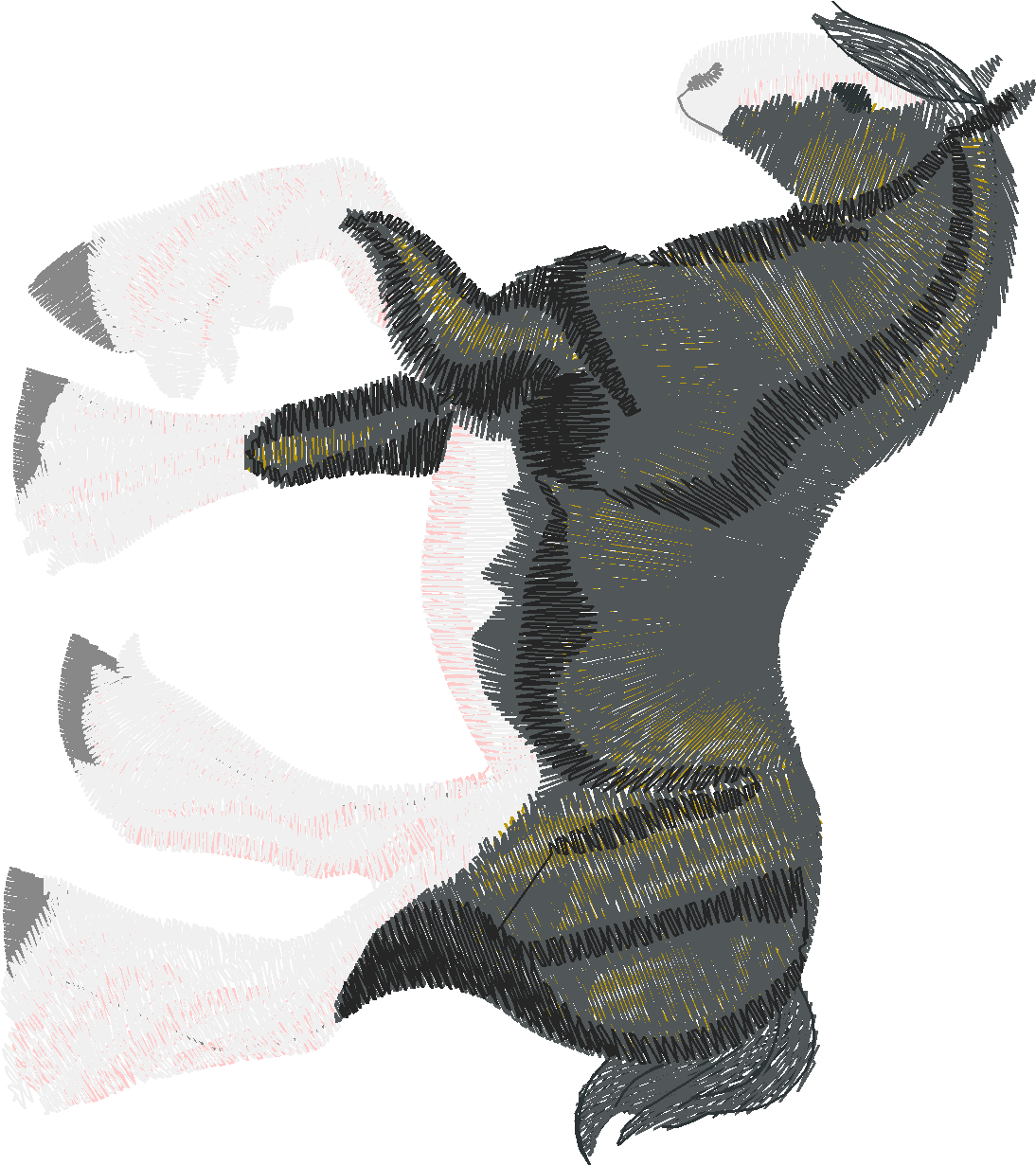 Horses 8  (16)