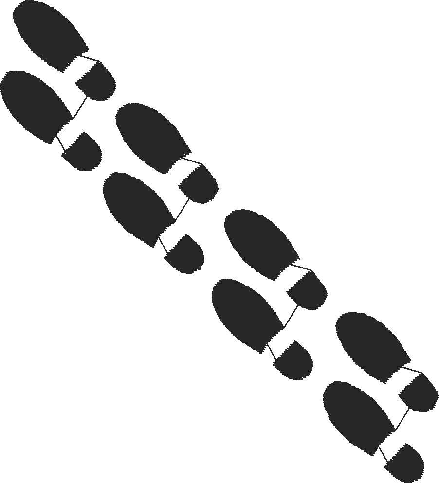 Mensshoewalking