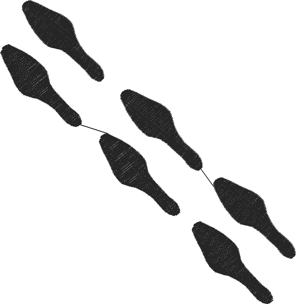 Womanswedgewalking