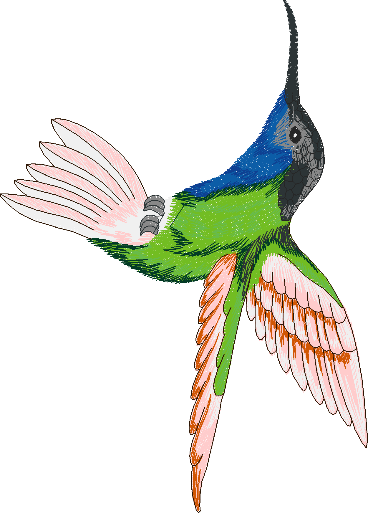Humming Birds 1  (10)