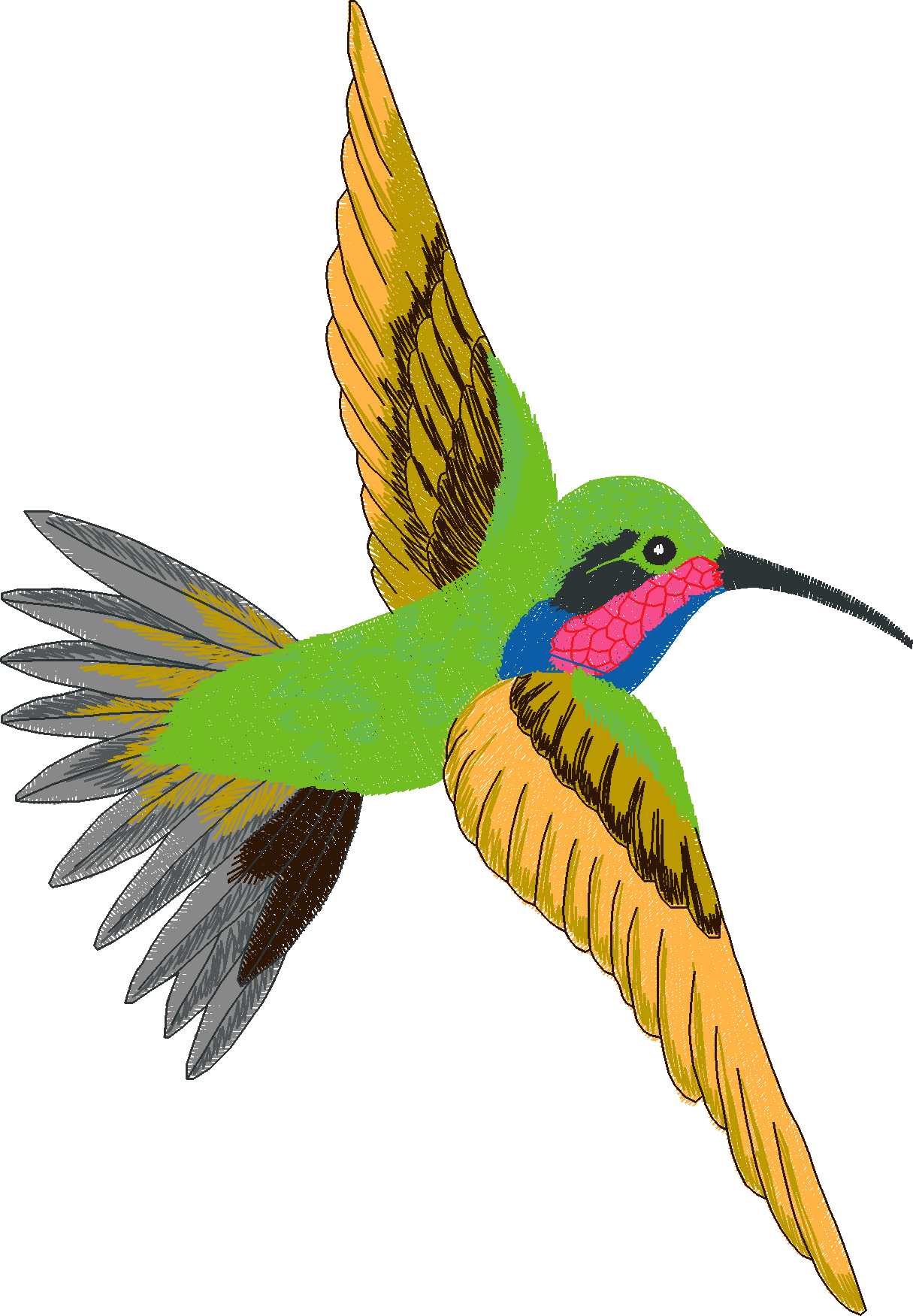 Humming Birds 1  (6)