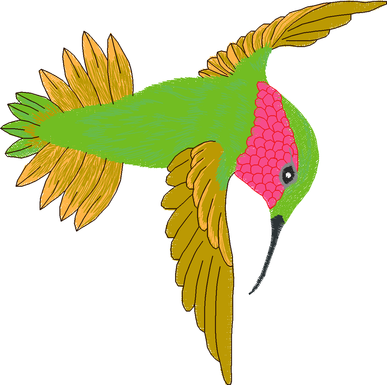 Humming Birds 1  (9)