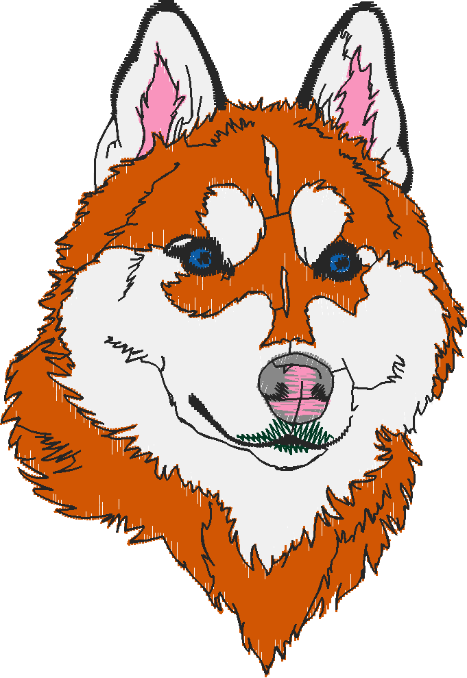 Huskies