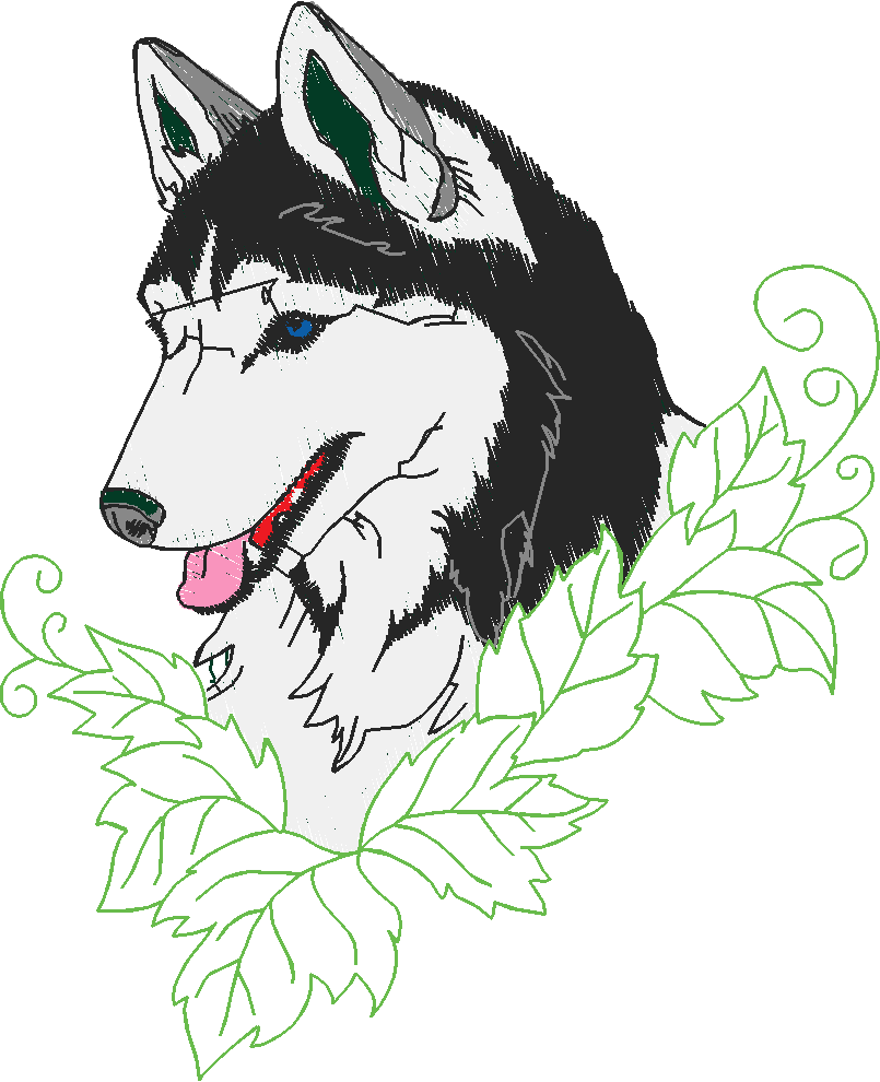 Huskies 1 (10)