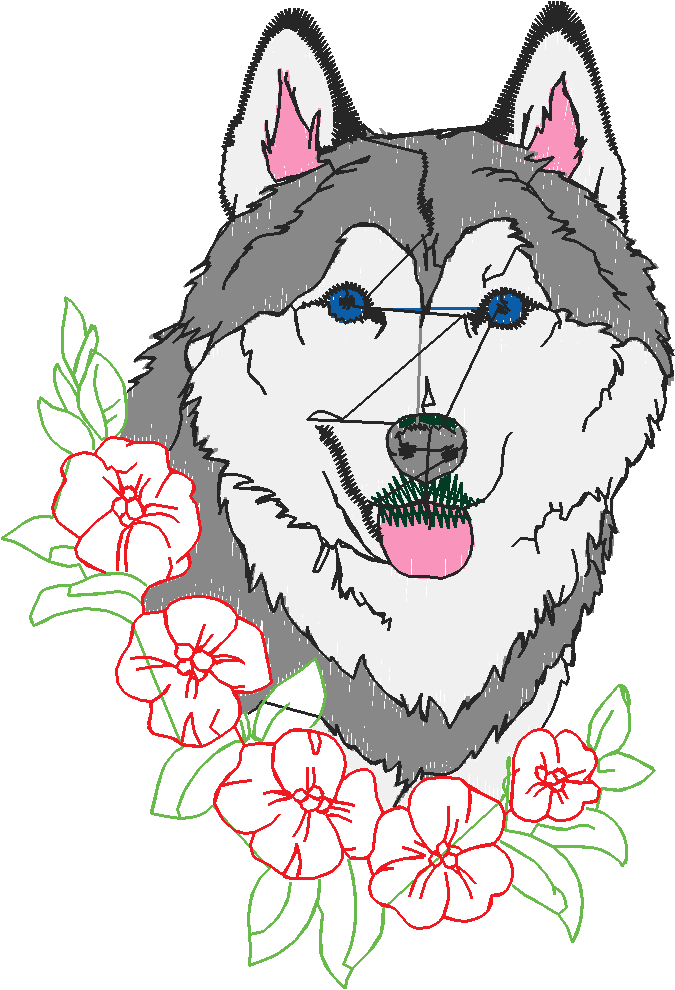 Huskies 1 (7)