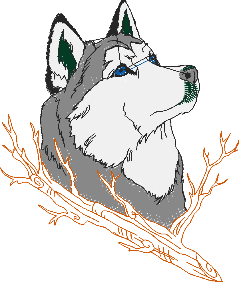Huskies 1 (8)
