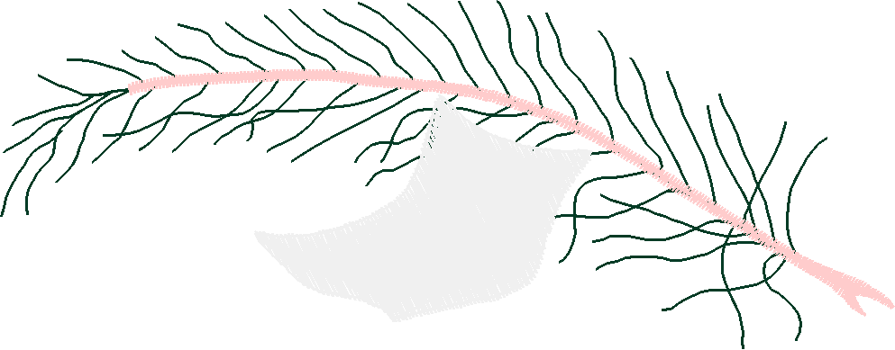 Indoors 1  (59)