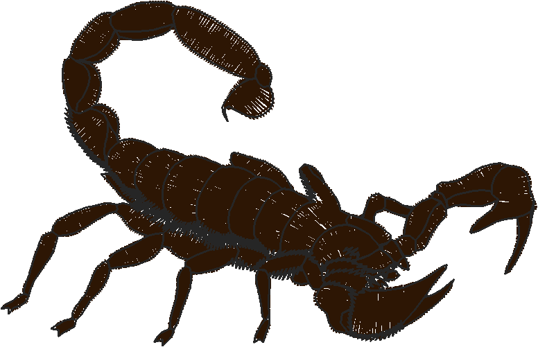 Insects 1  (10)