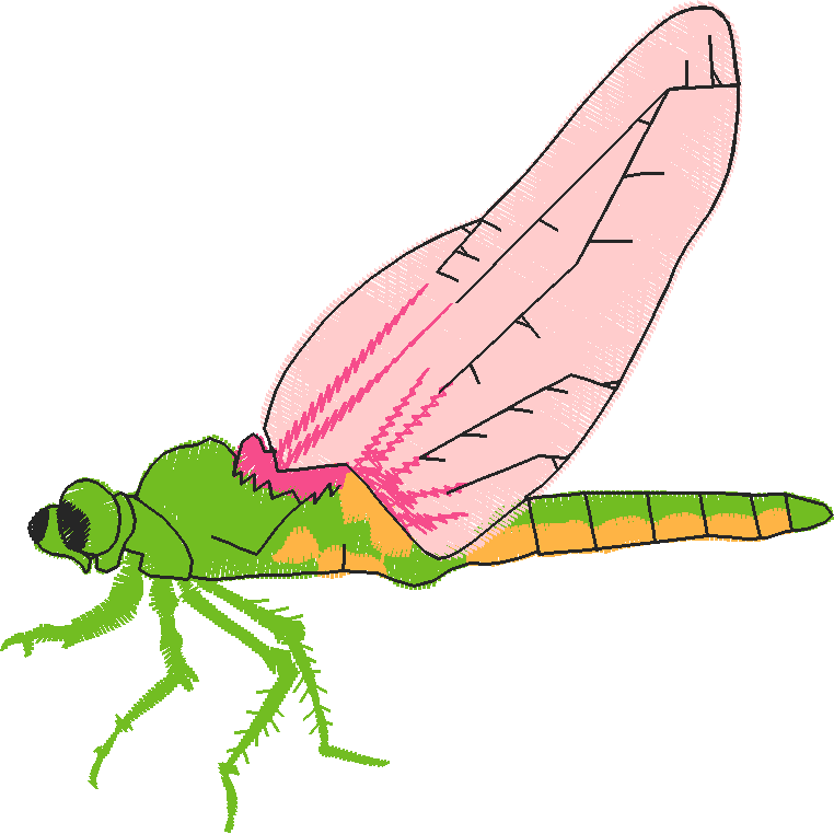 Insects 1  (12)