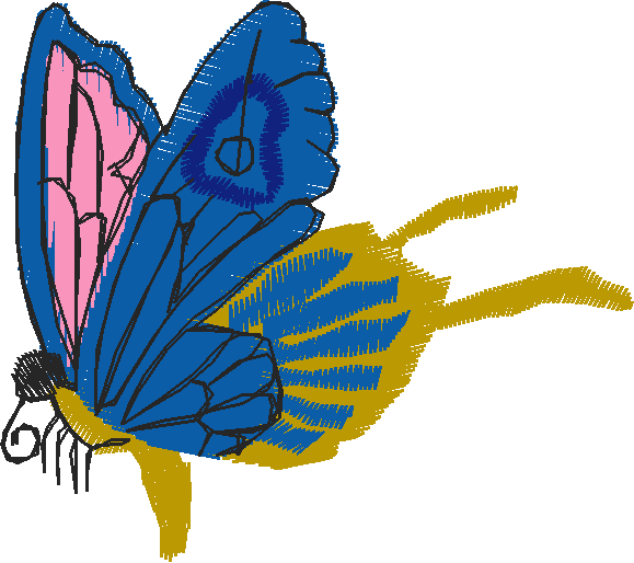 Insects 2  (13)