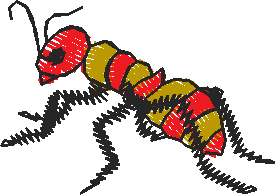 Insects 2  (2)
