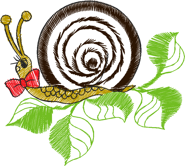 Insects 2  (20)