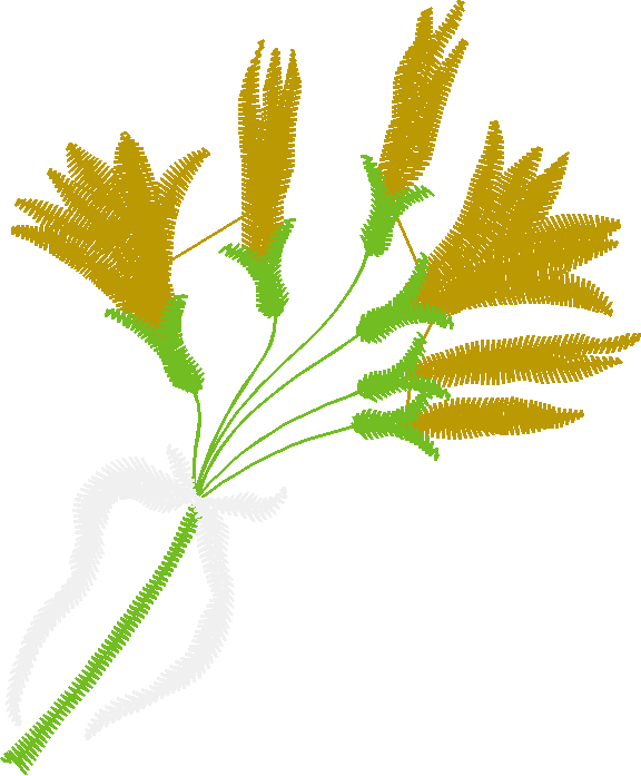 Iris 1  (12)