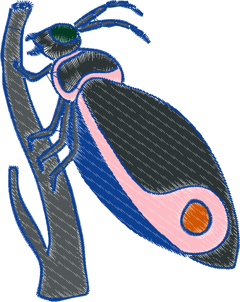 It's A Bugs Life