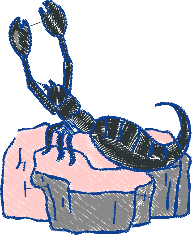 It's A Bugs Life 1  (6)