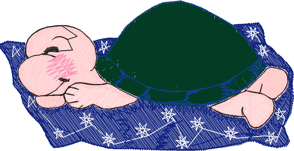 Joe Turtle 1 (20)