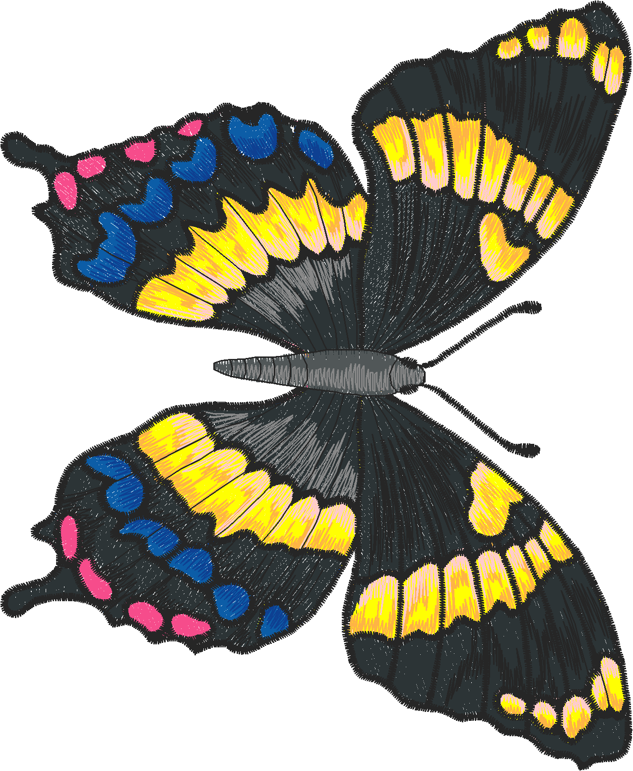 Jumbo   Butterflies 1  (10)