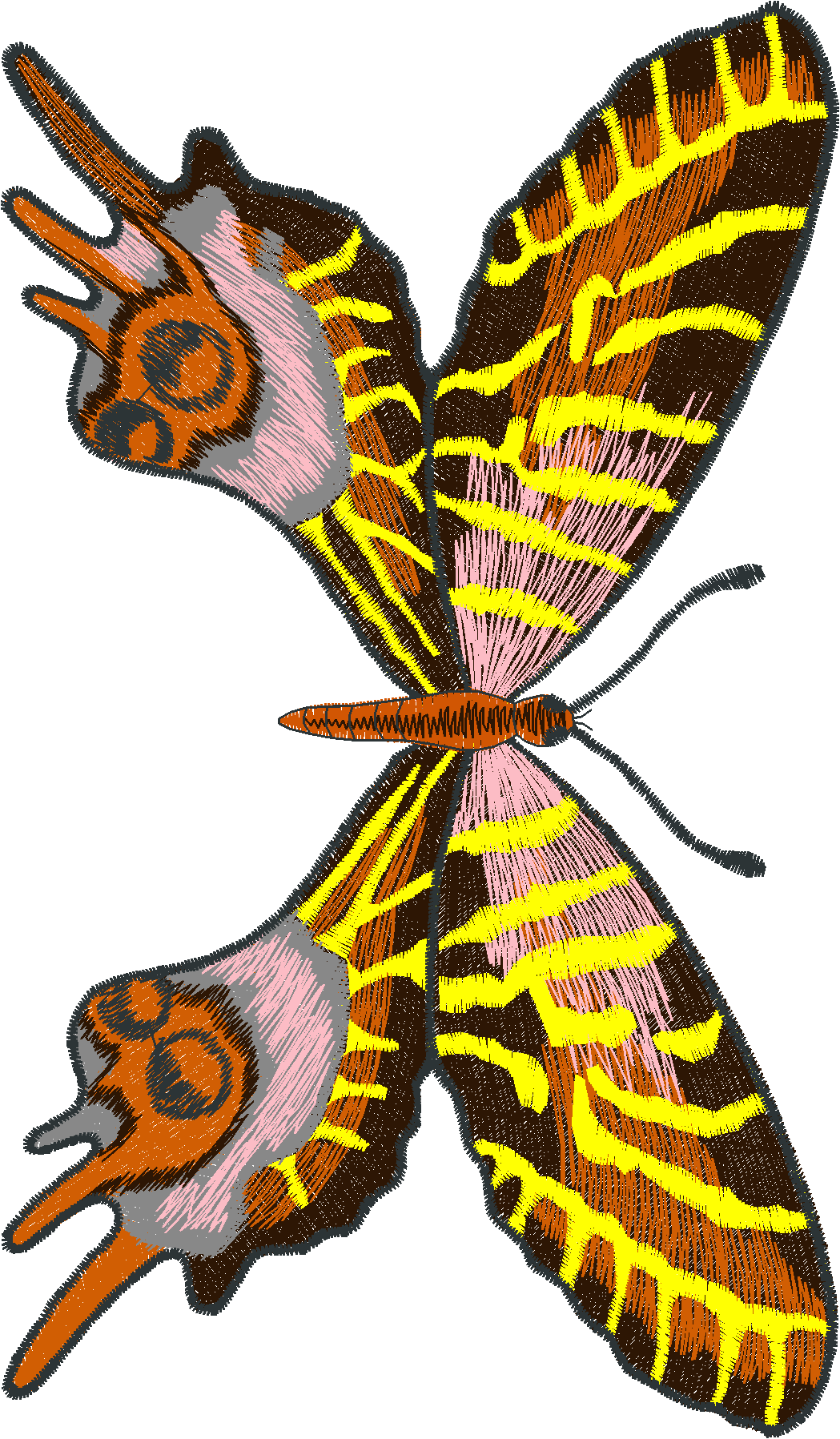 Jumbo   Butterflies 1  (2)